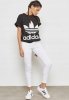 ADIDAS ORIGINALS T-SHIRT BIG TREFOIL TEE CE2436 ADIDAS ORIGINALS T-SHIRT BIG TREFOIL TEE CE2436